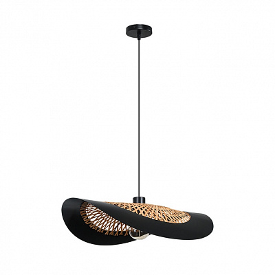 Подвесной светильник ARTE LAMP WOODSTOCK A7059SP-1BK